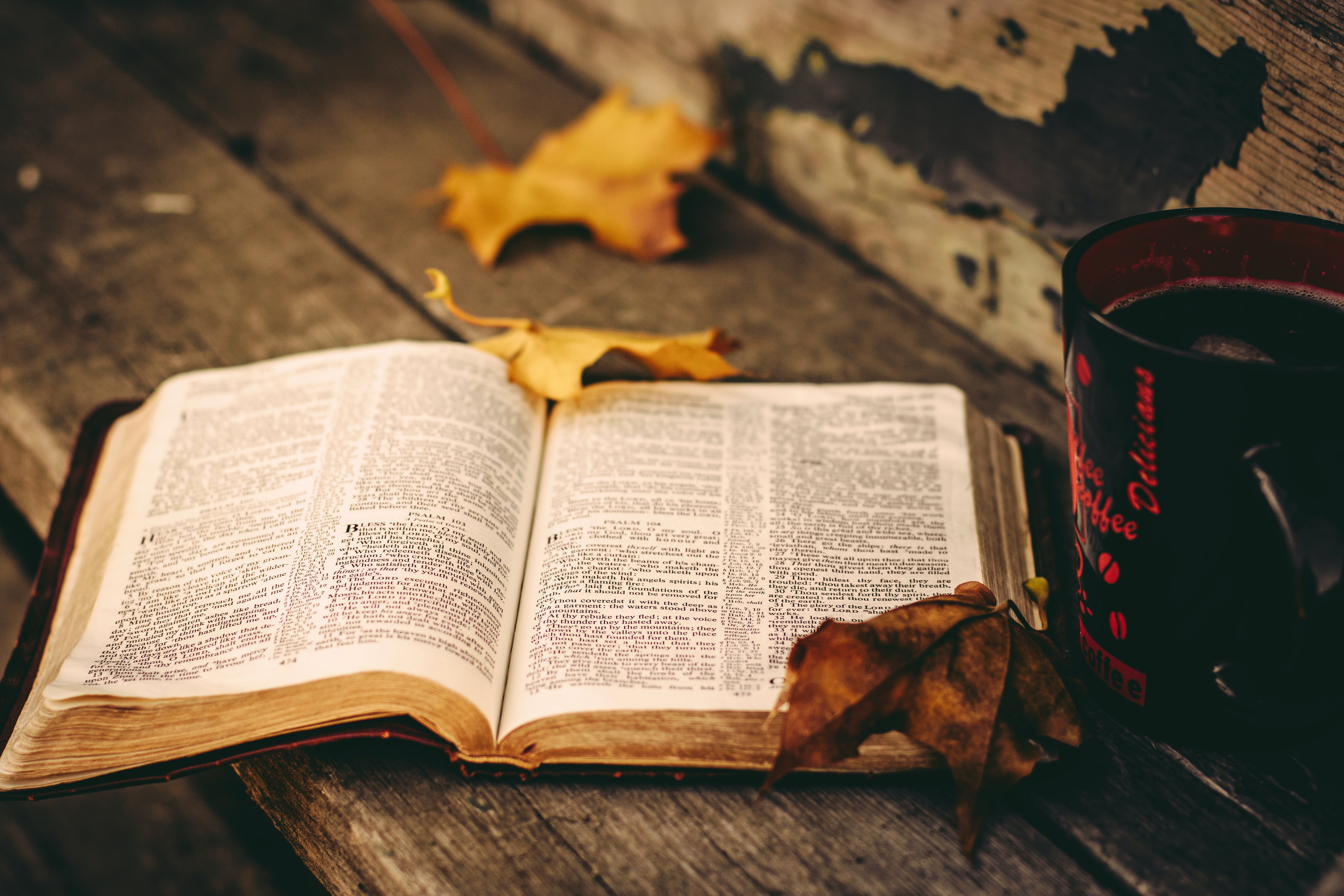 October 2023 Bible Reading Plan + Cozy Autumn Playlist & Bucket List