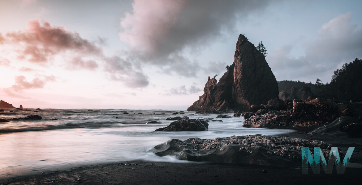 The rugged coastline of the Olympic Peninsula.