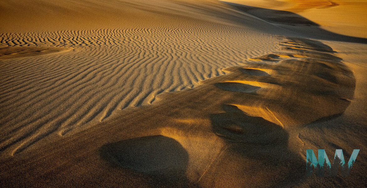 Strong evening light on sand dunes sculpted by high winds.