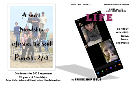 BVAS Life issue