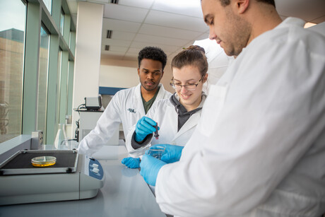 Students work in bioengineering lab