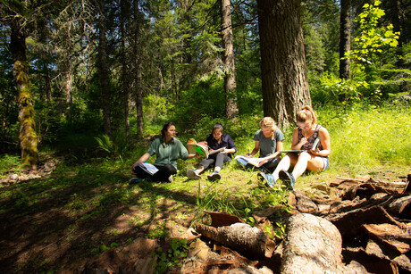 Students study textbooks under a canopy of pines. 