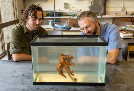 Kirt Onthank and student observe an octopus at WWU's Rosario Beach Marine Laboratory..