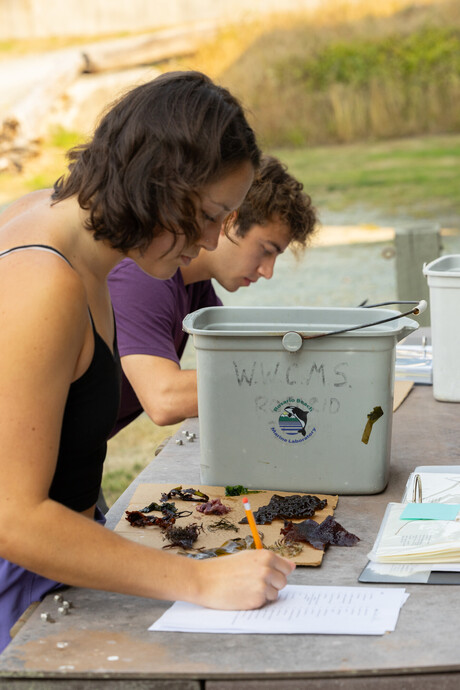 Students examine biological specimen at a beachside work station.