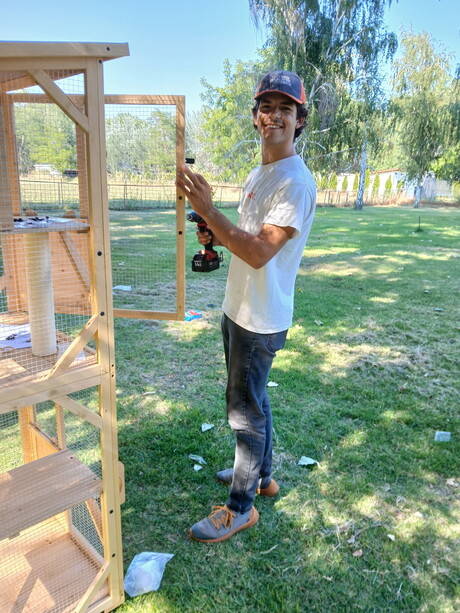 WWU student building a chicken coop