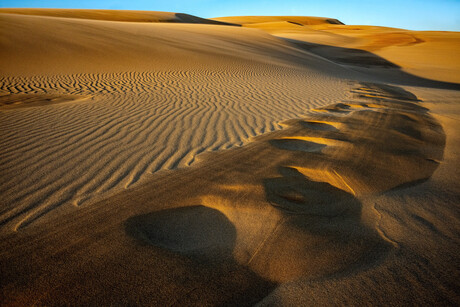 Strong evening light on sand dunes sculpted by high winds.