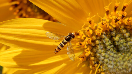 Appearances Can Be Deceiving