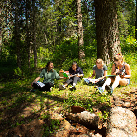 Students study textbooks under a canopy of pines.