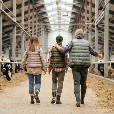 Rear view of father pointing at cows and sharing farm experience with son, whole family walking along cowshed together