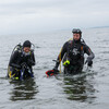 Scuba divers walk from ocean