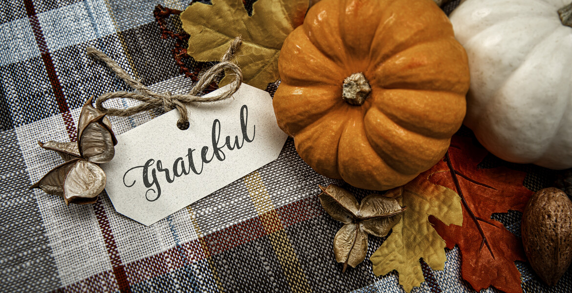 This is a close up photo of a group of small white and orange pumpkins on a plaid tablecloth background. There is space for copy. This is a nice high key image that would work well for autumn, Thanksgiving and a holiday season in the fall.